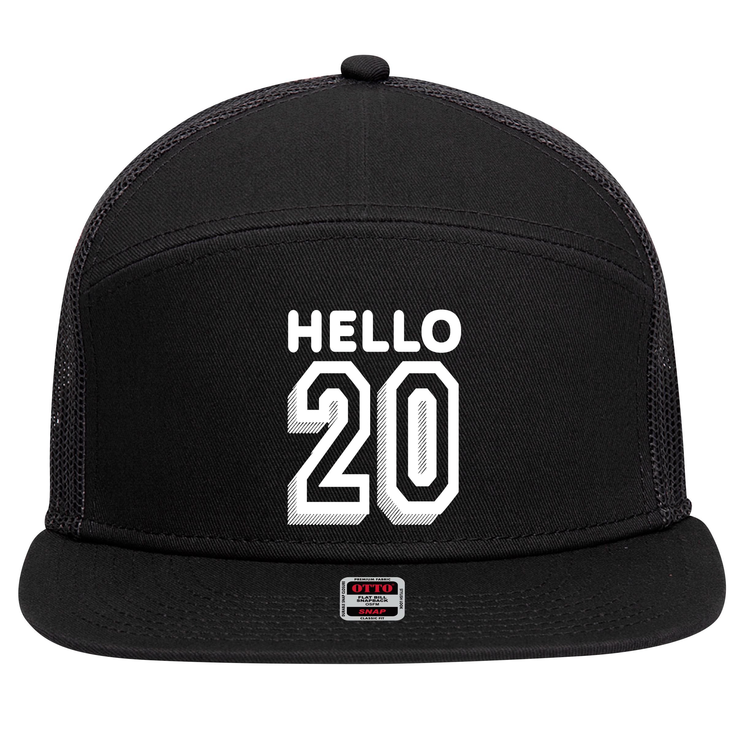 Hello 20 Funny 20th Birthday 7 Panel Mesh Trucker Snapback Hat