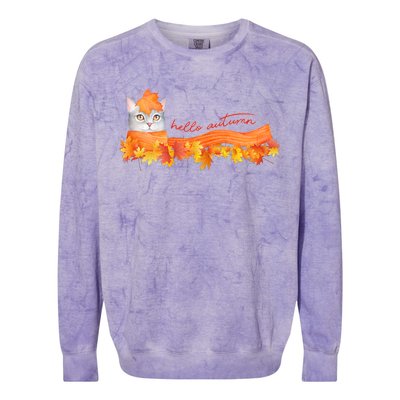 Hello Autumn Cute Cat Colorblast Crewneck Sweatshirt