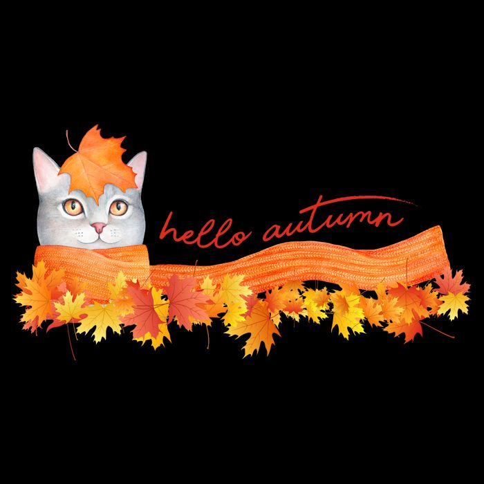 Hello Autumn Cute Cat Toddler Hoodie