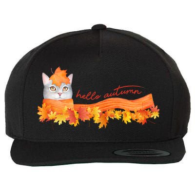 Hello Autumn Cute Cat Wool Snapback Cap