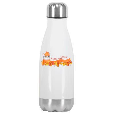 Hello Autumn Cute Cat Stainless Steel Insulated Water Bottle