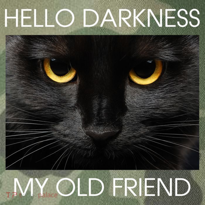 Hello Darkness My Old Friend Cat Legacy Tie Dye Trucker Hat