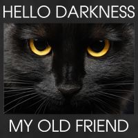 Hello Darkness My Old Friend Cat Cool Comfort Performance Bucket Hat