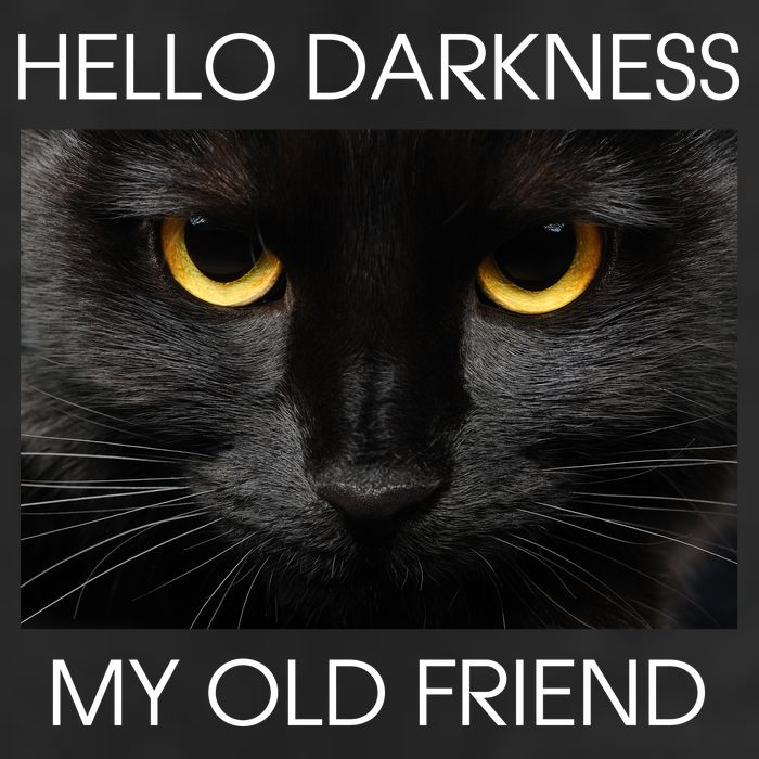 Hello Darkness My Old Friend Cat Cool Comfort Performance Bucket Hat