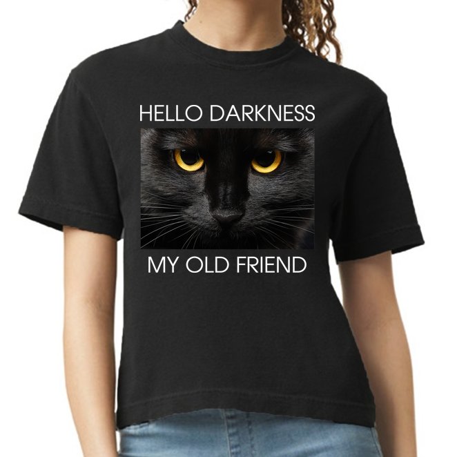 Hello Darkness My Old Friend Cat Comfort Colors Boxy T-Shirt