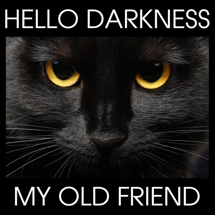 Hello Darkness My Old Friend Cat Impact Tech Backpack