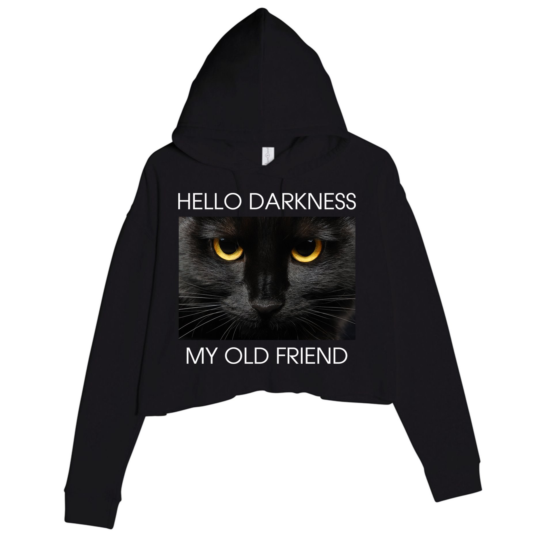 Hello Darkness My Old Friend Cat Crop Fleece Hoodie