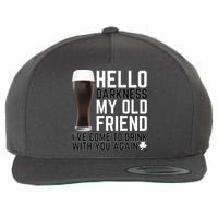 Hello Darkness My Old Friend Funny Drinking Wool Snapback Cap