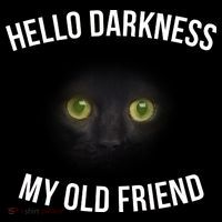 Hello Darkness My Old Friend Scary Cat Stripe Pom Pom Beanie