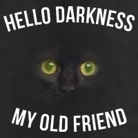 Hello Darkness My Old Friend Scary Cat Cool Comfort Performance Bucket Hat