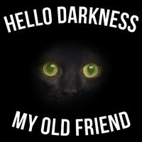 Hello Darkness My Old Friend Scary Cat Hoodie