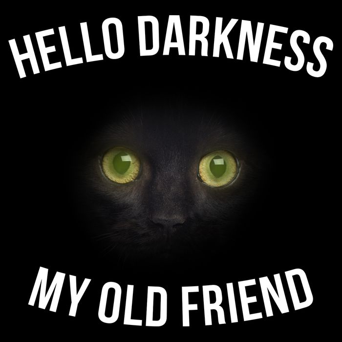 Hello Darkness My Old Friend Scary Cat Hoodie
