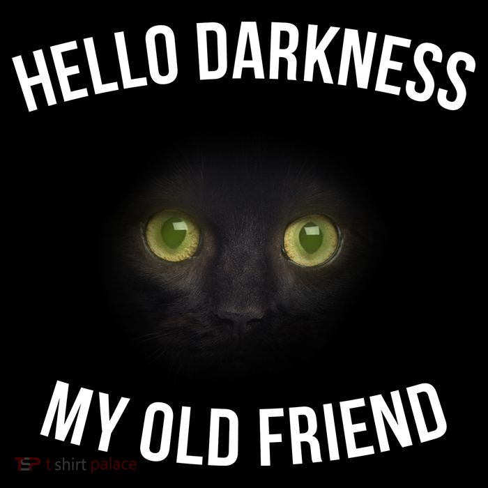 Hello Darkness My Old Friend Scary Cat Sustainable Bucket Hat