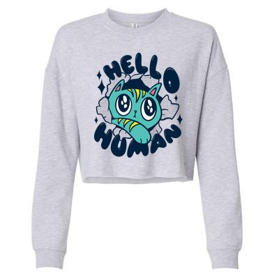 Hello Human Cat Cropped Pullover Crew