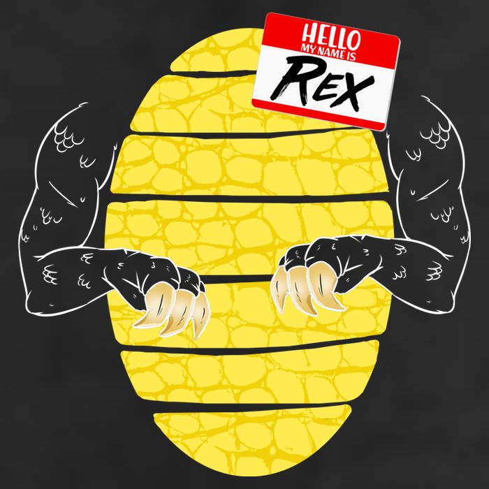 Hello My Name is Rex T-Rex Halloween Cool Comfort Performance Bucket Hat