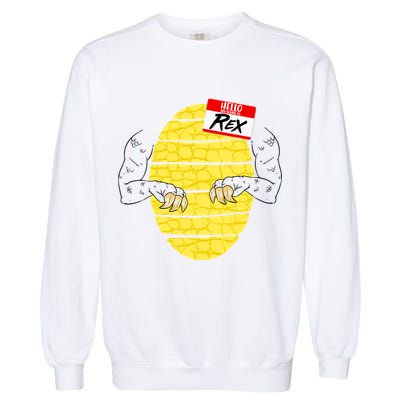 Hello My Name is Rex T-Rex Halloween Garment-Dyed Sweatshirt