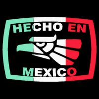 Hecho En Mexico Eagle Mexican Independence Day Hoodie