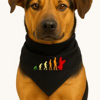 Human Evolution Of Snowboarding USA-Made Doggie Bandana