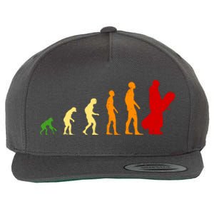 Human Evolution Of Snowboarding Wool Snapback Cap