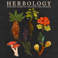 Herbology Hogwarts School of Witchcraft And Wizardry Beanie