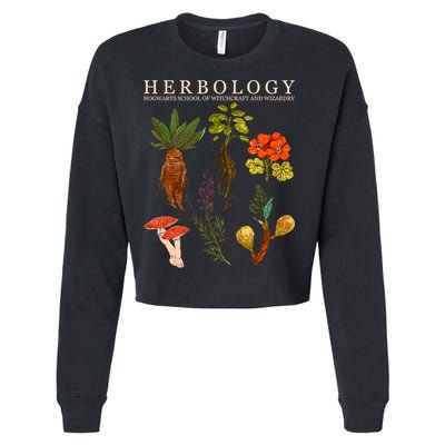 Herbology Hogwarts School of Witchcraft And Wizardry Cropped Pullover Crew