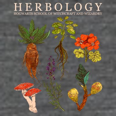 Herbology Hogwarts School of Witchcraft And Wizardry T-Shirt