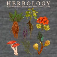 Herbology Hogwarts School of Witchcraft And Wizardry Women's V-Neck T-Shirt