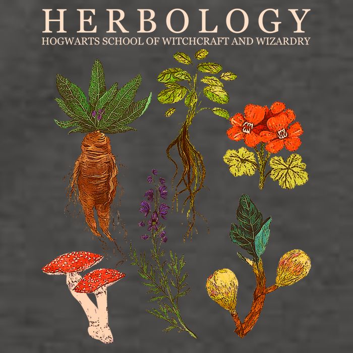Herbology Hogwarts School of Witchcraft And Wizardry Vector Backpack