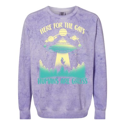 Here For The Cats Humans Are Gross Colorblast Crewneck Sweatshirt