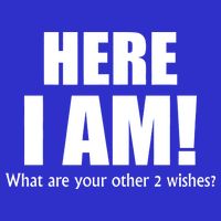 Here I Am! What Are Your Other 2 Wishes? Mesh Reversible Basketball Jersey Tank
