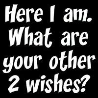 Here I Am, What Are Your Other Two Wishes Sustainable Beanie