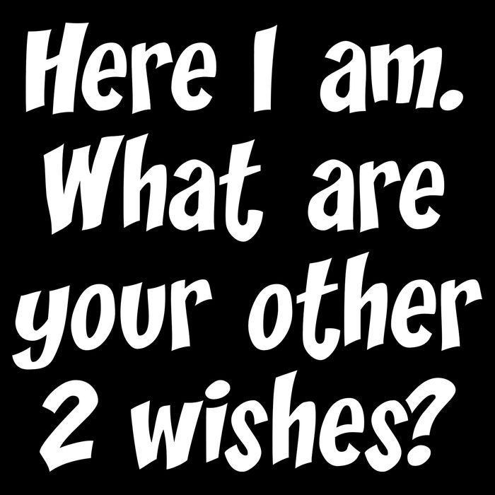 Here I Am, What Are Your Other Two Wishes Sustainable Beanie