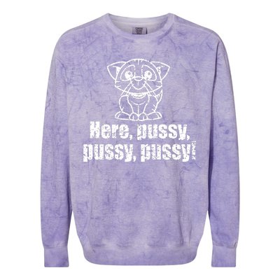 Here Pussy Pussy Pussy Cat Colorblast Crewneck Sweatshirt