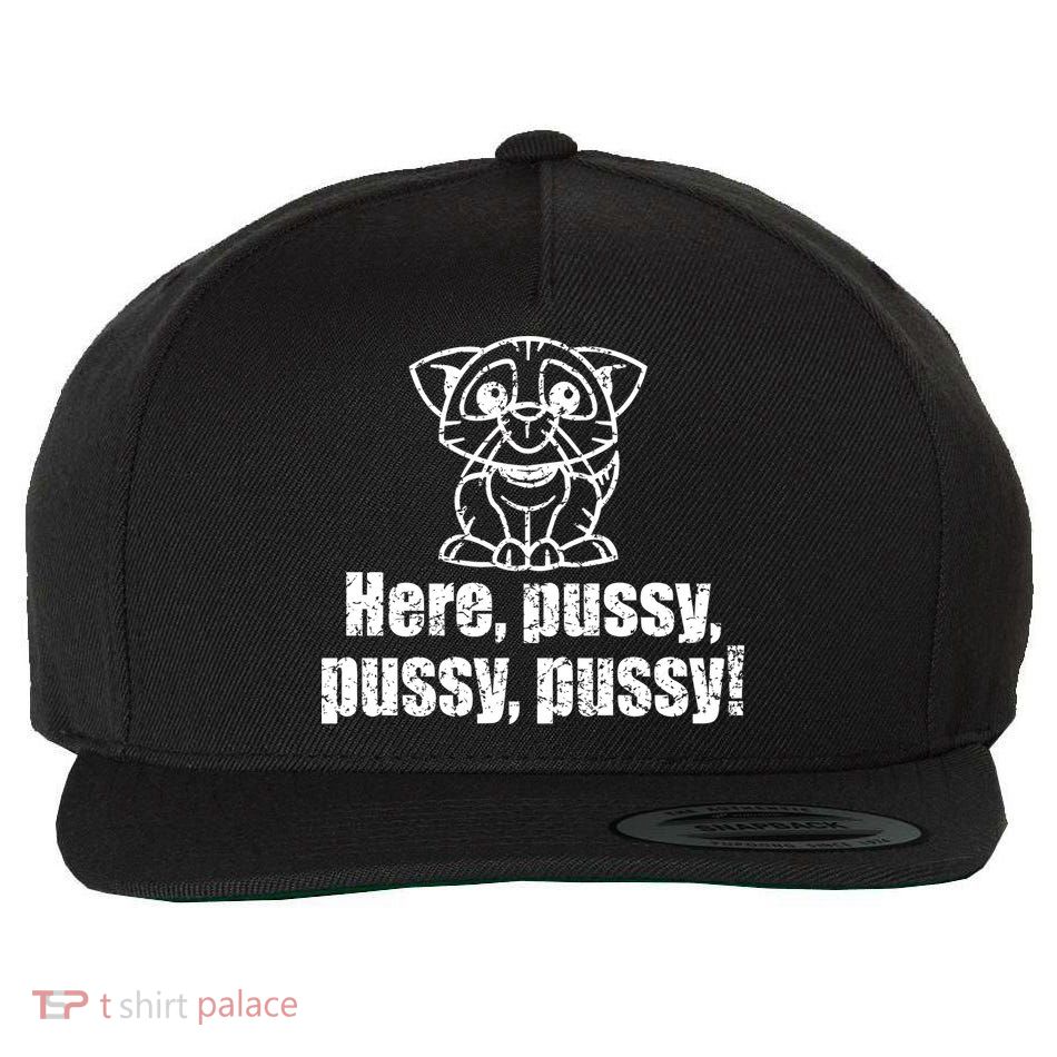 Here Pussy Pussy Pussy Cat Wool Snapback Cap