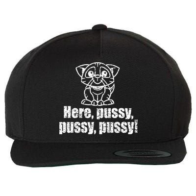 Here Pussy Pussy Pussy Cat Wool Snapback Cap