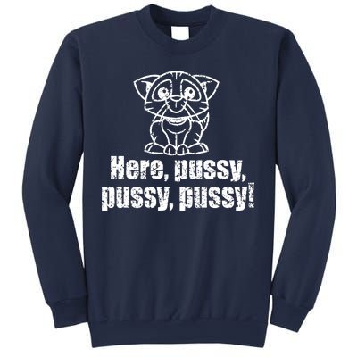 Here Pussy Pussy Pussy Cat Sweatshirt