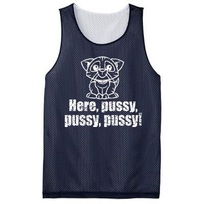 Here Pussy Pussy Pussy Cat Mesh Reversible Basketball Jersey Tank