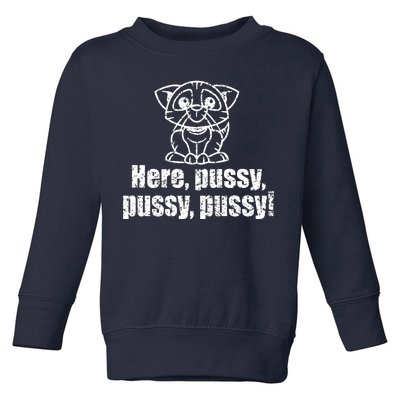 Here Pussy Pussy Pussy Cat Toddler Sweatshirt