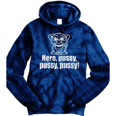 Here Pussy Pussy Pussy Cat Tie Dye Hoodie