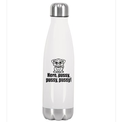 Here Pussy Pussy Pussy Cat Stainless Steel Insulated Water Bottle