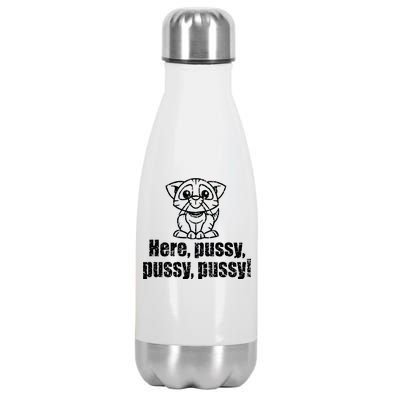 Here Pussy Pussy Pussy Cat Stainless Steel Insulated Water Bottle