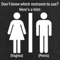 Here's A Hint Vagina Penis Adult Drive Performance Visor