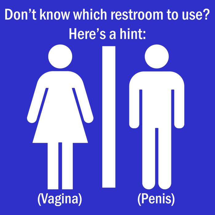 Here's A Hint Vagina Penis 16 in Basic Backpack