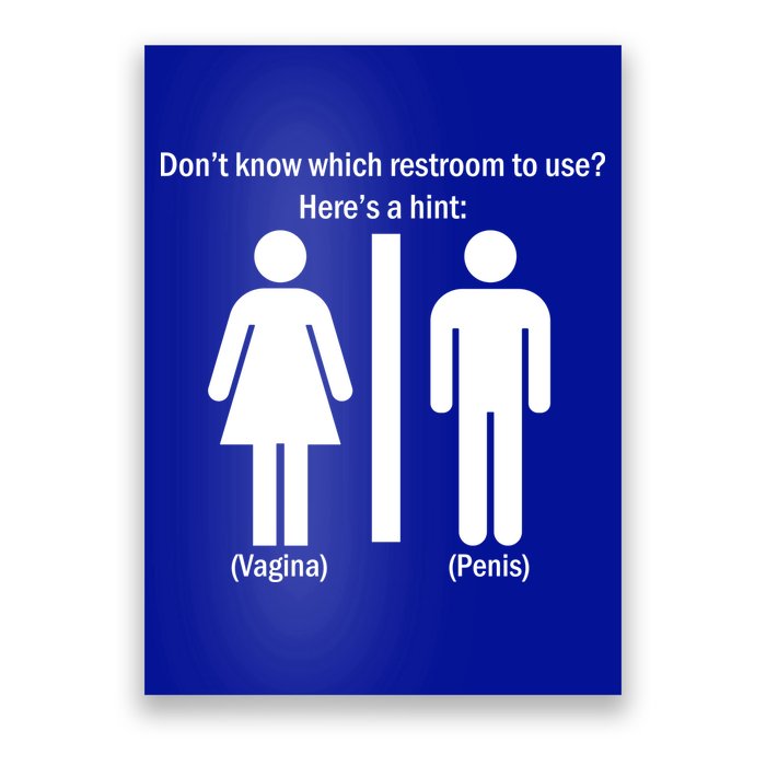 Here's A Hint Vagina Penis Poster