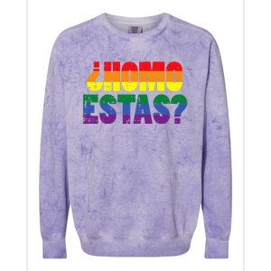 Homo Estas Spanish Mexican Funny Pride Ally Month Colorblast Crewneck Sweatshirt