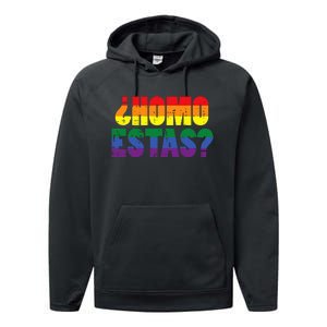 Homo Estas Spanish Mexican Funny Pride Ally Month Performance Fleece Hoodie