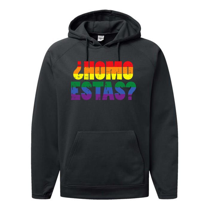 Homo Estas Spanish Mexican Funny Pride Ally Month Performance Fleece Hoodie