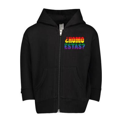 Homo Estas Spanish Mexican Funny Pride Ally Month Toddler Zip Fleece Hoodie