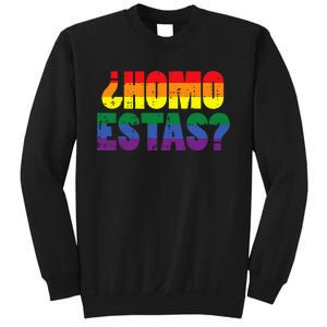 Homo Estas Spanish Mexican Funny Pride Ally Month Sweatshirt