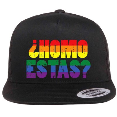Homo Estas Spanish Mexican Funny Pride Ally Month Flatbill Hat